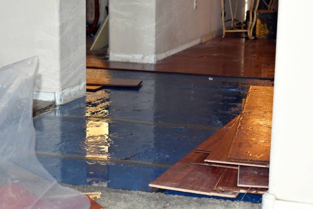 Professional Burst Pipe Cleanup technician working in Le Roy, IL