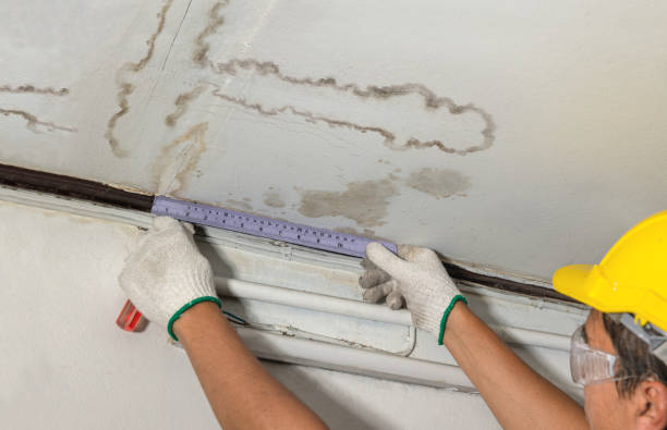 Reliable Burst Pipe Cleanup contractor in Le Roy, IL by Water Damage Irwin